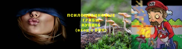 a pvp Коряжма