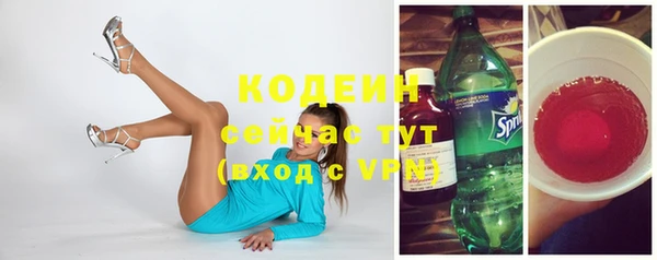 мет Корсаков